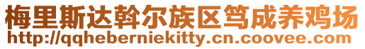 梅里斯達(dá)斡爾族區(qū)篤成養(yǎng)雞場