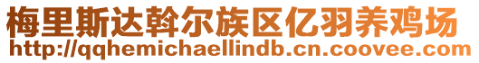 梅里斯达斡尔族区亿羽养鸡场