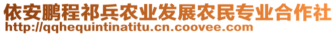 依安鵬程祁兵農(nóng)業(yè)發(fā)展農(nóng)民專業(yè)合作社