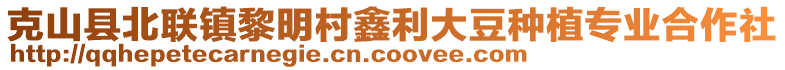 克山縣北聯(lián)鎮(zhèn)黎明村鑫利大豆種植專業(yè)合作社