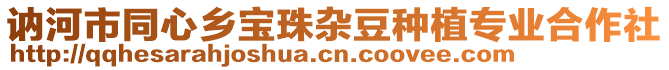 訥河市同心鄉(xiāng)寶珠雜豆種植專業(yè)合作社