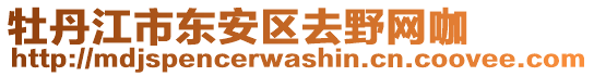 牡丹江市東安區(qū)去野網咖