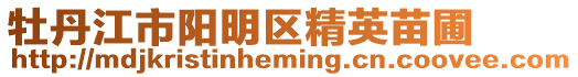 牡丹江市陽明區(qū)精英苗圃