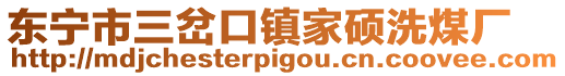 東寧市三岔口鎮家碩洗煤廠