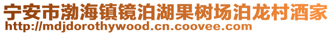 寧安市渤海鎮(zhèn)鏡泊湖果樹場泊龍村酒家