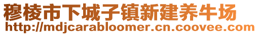 穆棱市下城子镇新建养牛场