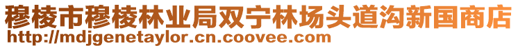 穆棱市穆棱林業(yè)局雙寧林場頭道溝新國商店