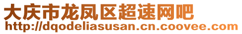 大慶市龍鳳區(qū)超速網(wǎng)吧