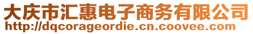 大慶市匯惠電子商務(wù)有限公司