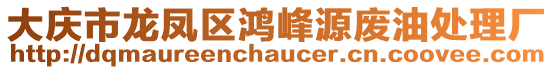 大慶市龍鳳區(qū)鴻峰源廢油處理廠