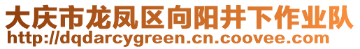 大慶市龍鳳區(qū)向陽井下作業(yè)隊