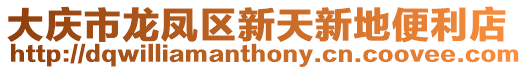 大慶市龍鳳區新天新地便利店
