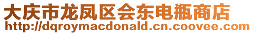 大慶市龍鳳區會東電瓶商店