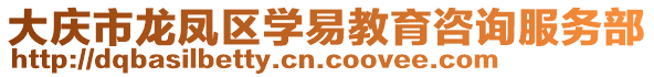 大庆市龙凤区学易教育咨询服务部