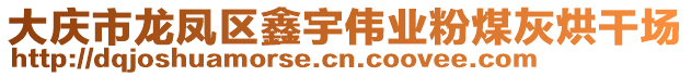 大庆市龙凤区鑫宇伟业粉煤灰烘干场