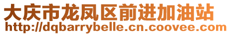 大庆市龙凤区前进加油站