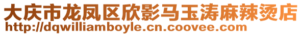 大庆市龙凤区欣影马玉涛麻辣烫店