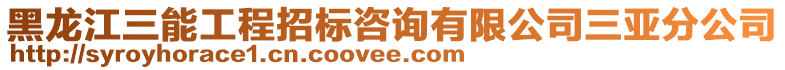 黑龍江三能工程招標(biāo)咨詢有限公司三亞分公司