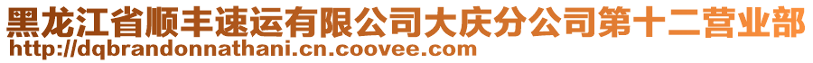 黑龍江省順豐速運有限公司大慶分公司第十二營業(yè)部