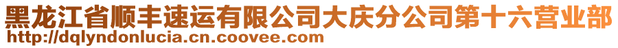 黑龍江省順豐速運有限公司大慶分公司第十六營業(yè)部