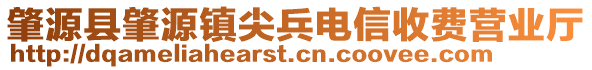 肇源縣肇源鎮(zhèn)尖兵電信收費營業(yè)廳