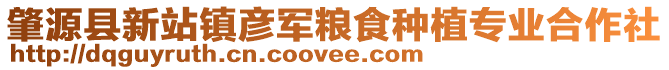 肇源縣新站鎮彥軍糧食種植專業合作社