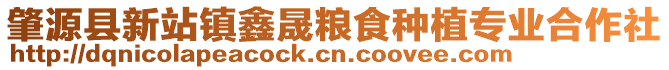 肇源縣新站鎮(zhèn)鑫晟糧食種植專業(yè)合作社