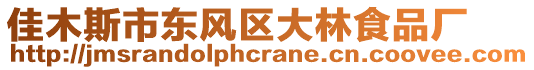 佳木斯市東風(fēng)區(qū)大林食品廠