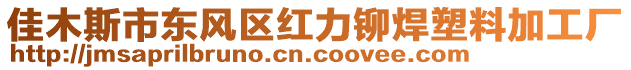 佳木斯市東風(fēng)區(qū)紅力鉚焊塑料加工廠