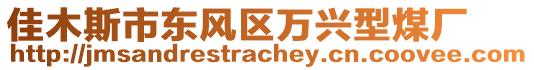 佳木斯市東風(fēng)區(qū)萬興型煤廠