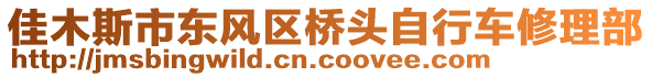佳木斯市東風(fēng)區(qū)橋頭自行車修理部