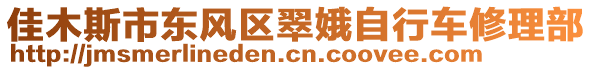 佳木斯市東風區翠娥自行車修理部