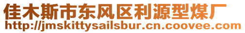佳木斯市東風區利源型煤廠