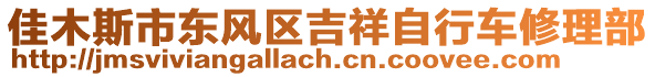 佳木斯市東風區吉祥自行車修理部