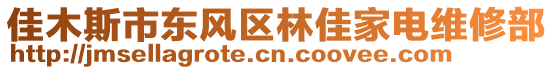 佳木斯市东风区林佳家电维修部