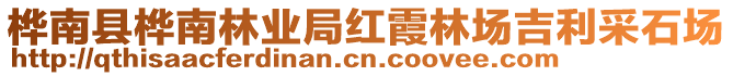 桦南县桦南林业局红霞林场吉利采石场