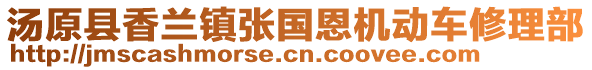 汤原县香兰镇张国恩机动车修理部