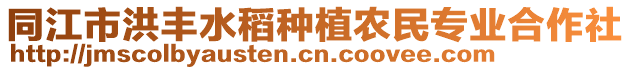 同江市洪豐水稻種植農(nóng)民專(zhuān)業(yè)合作社