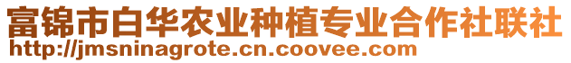 富錦市白華農(nóng)業(yè)種植專業(yè)合作社聯(lián)社