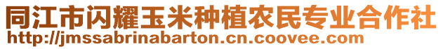 同江市閃耀玉米種植農民專業(yè)合作社