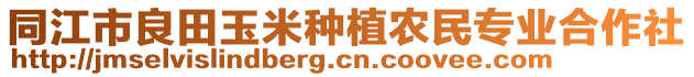 同江市良田玉米種植農(nóng)民專業(yè)合作社