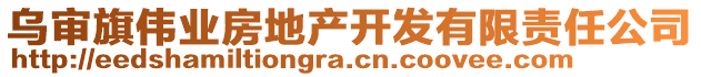 烏審旗偉業(yè)房地產開發(fā)有限責任公司