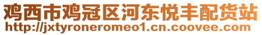 雞西市雞冠區(qū)河?xùn)|悅豐配貨站