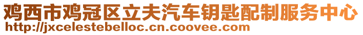 雞西市雞冠區立夫汽車鑰匙配制服務中心