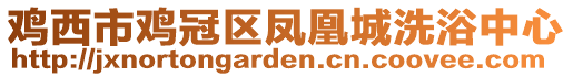 雞西市雞冠區鳳凰城洗浴中心