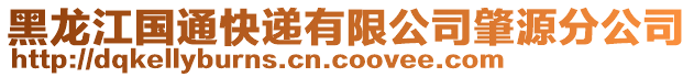 黑龍江國通快遞有限公司肇源分公司