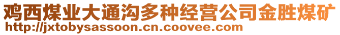 鸡西煤业大通沟多种经营公司金胜煤矿