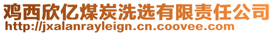 雞西欣億煤炭洗選有限責任公司