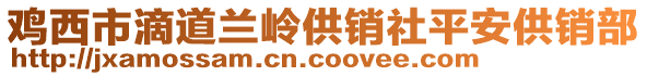 鸡西市滴道兰岭供销社平安供销部