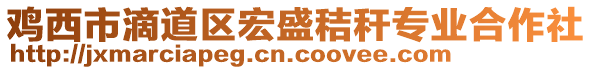 鸡西市滴道区宏盛秸秆专业合作社